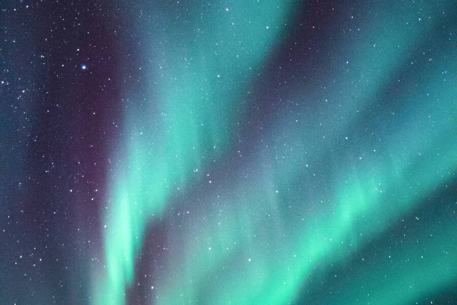 South Georgia Island for Auroras Boreales