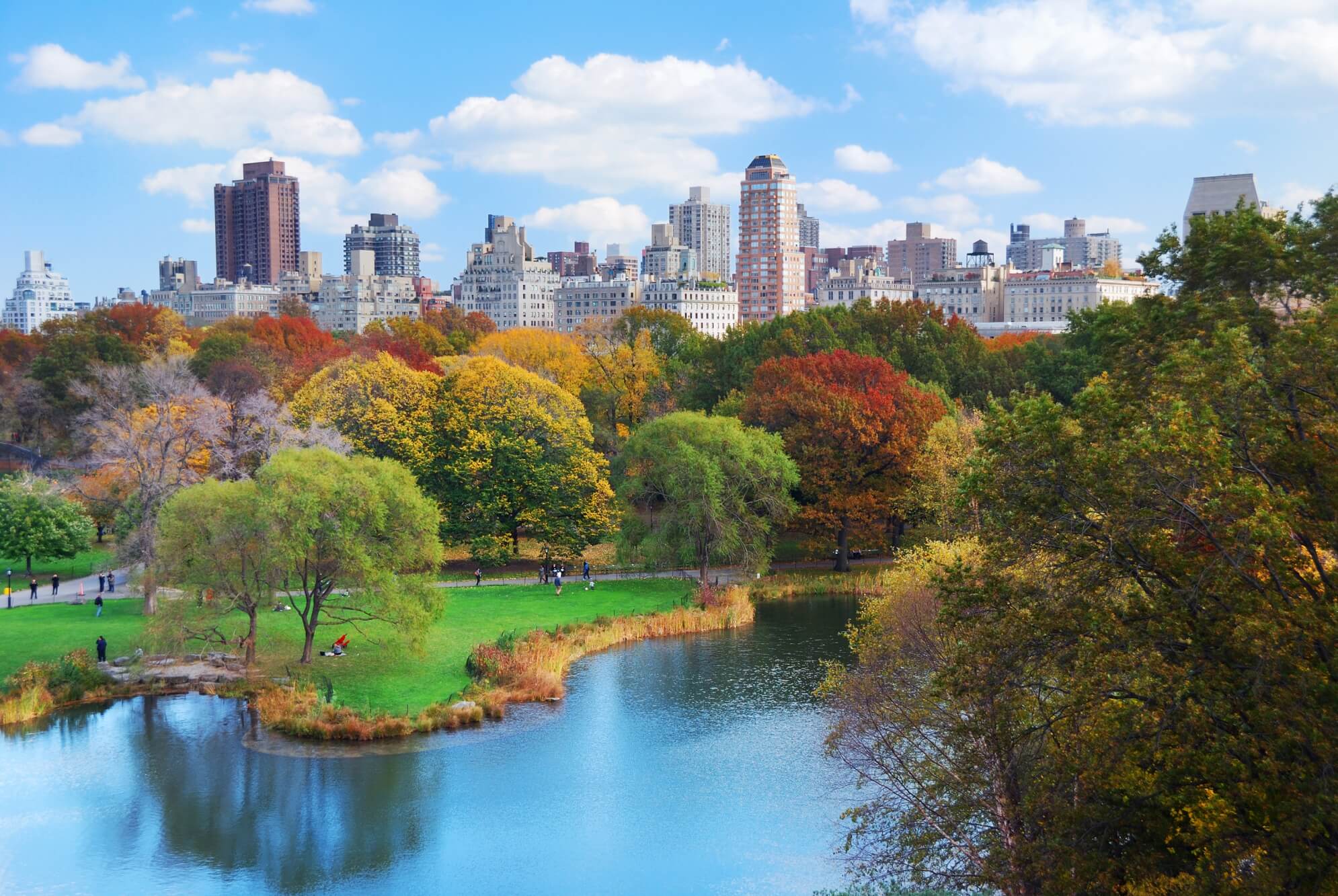 central park new york