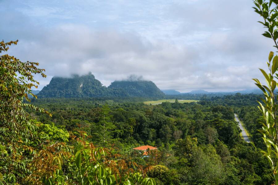 Mulu National Park
