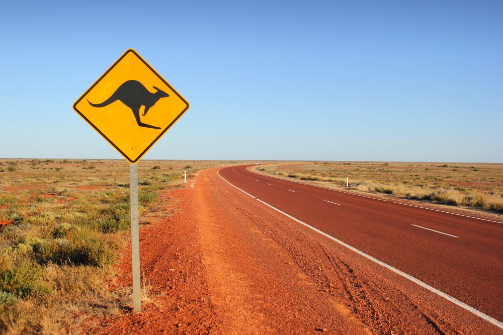 drive in australia