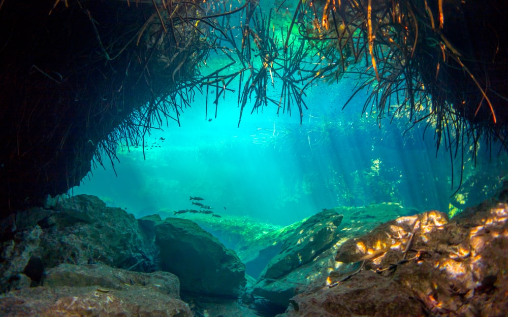 Casa Cenote Riviera Maya