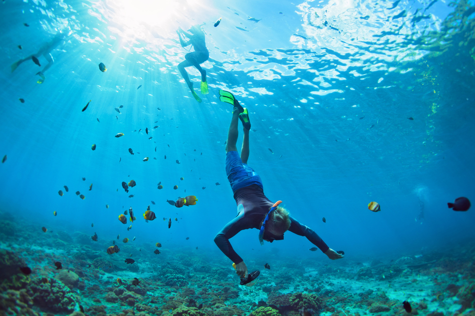 Diving in Maldives