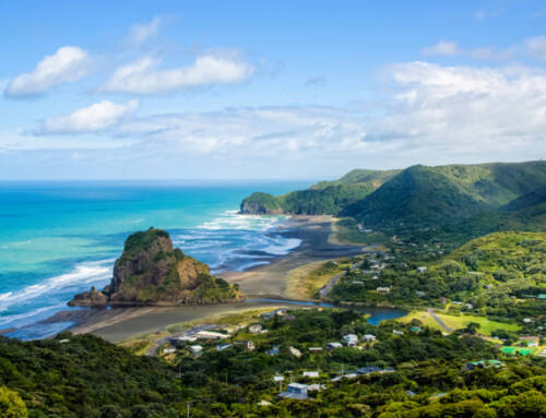 Where to travel in November