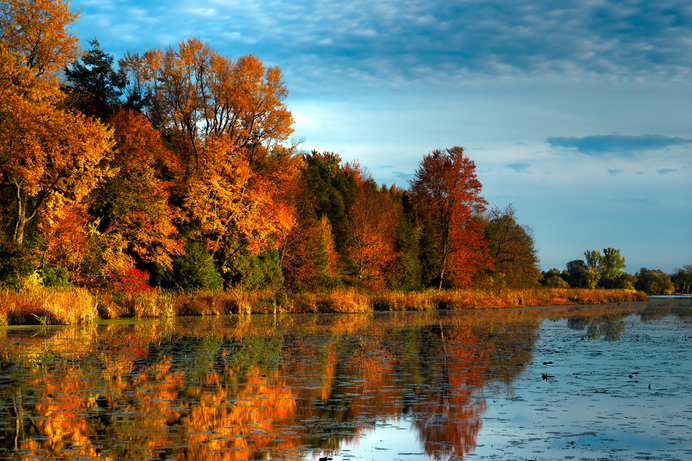 Ontario Canada in Autumn