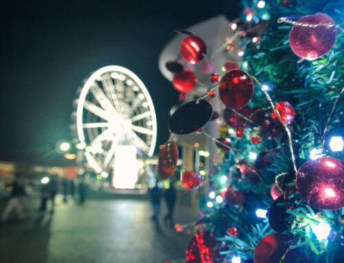 Where to travel in December