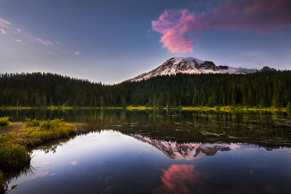 Mount Rainer National Park 