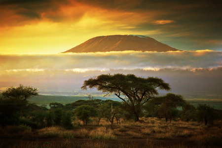 Mount Kilimanjaro, Tanzania sunrises 