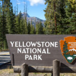 Thinsg to do in Yellowstone