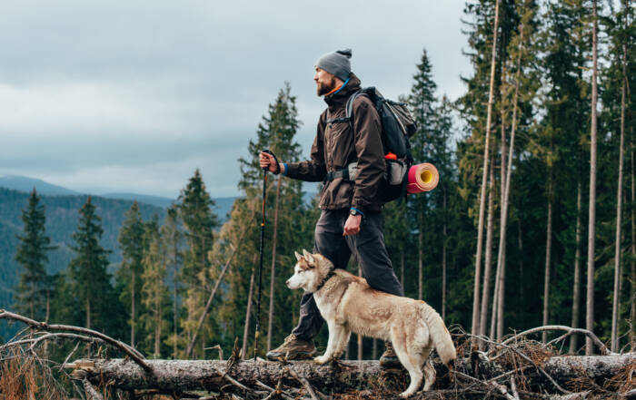 Backpacking with dogs