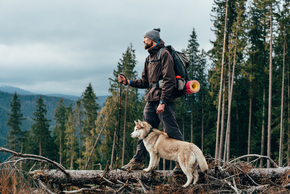 Backpacking with dogs