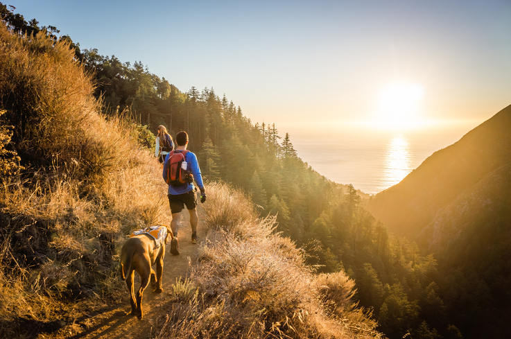 Hiking with your dog