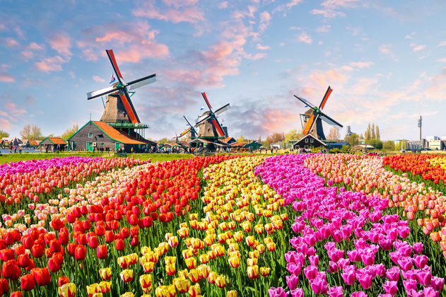 Netherlands for solo travel