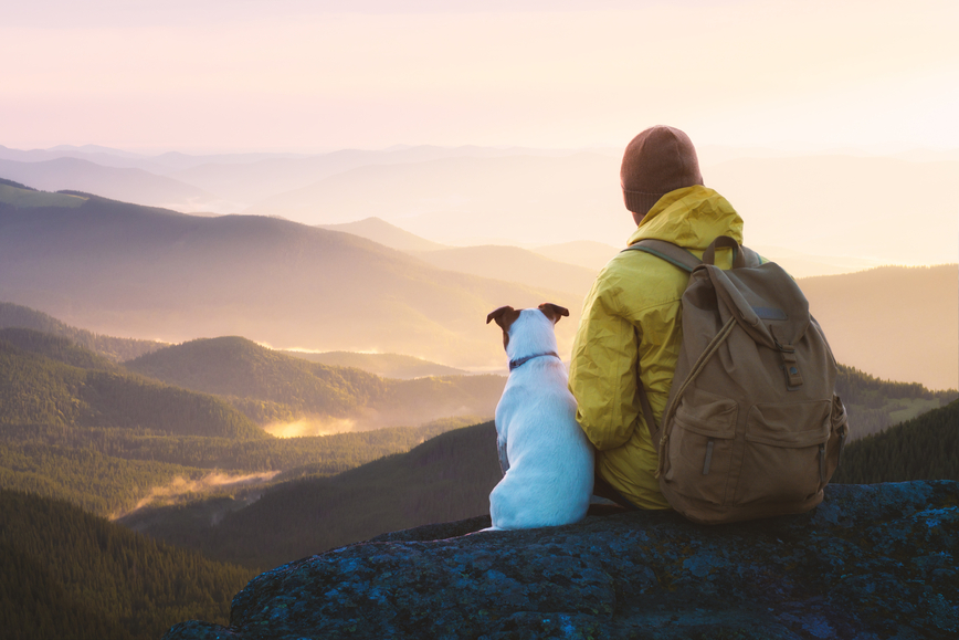 backpacking with your dog