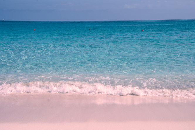 Pink Sands Beach, The Bahamas