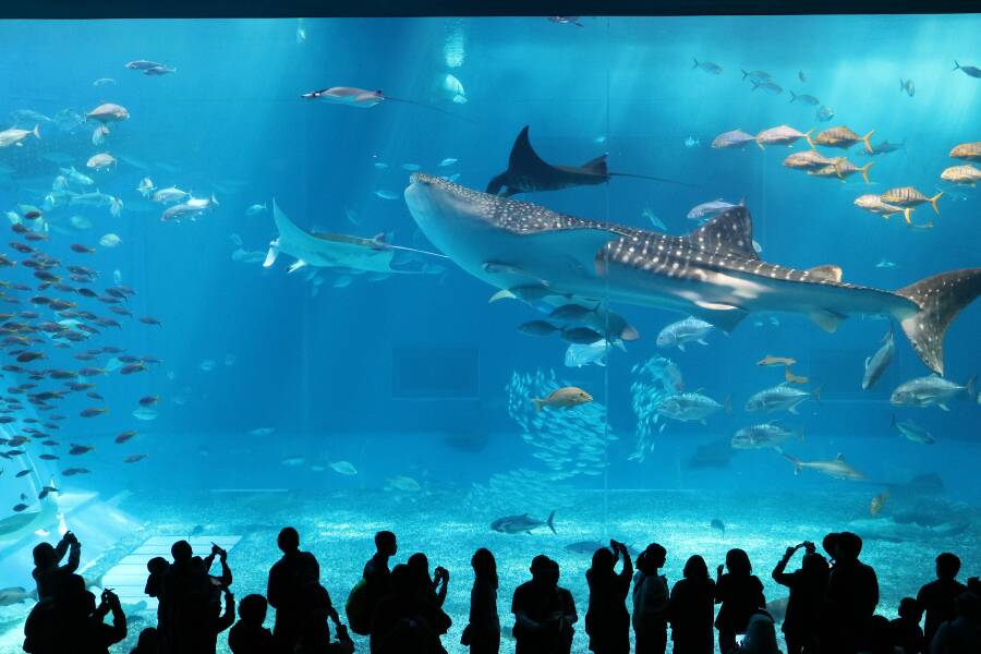 Aquarium