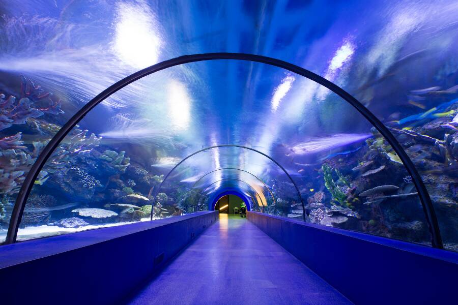 Aquariums