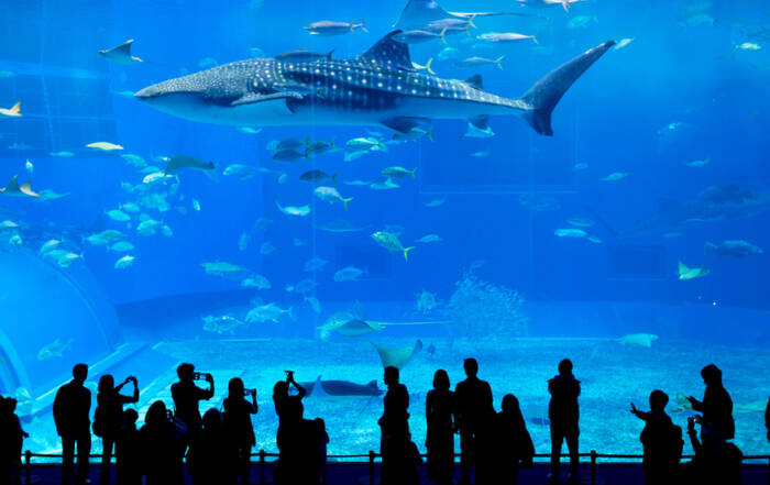 Best Aquarium in the world