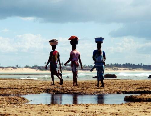Most beautiful beaches in Mozambique