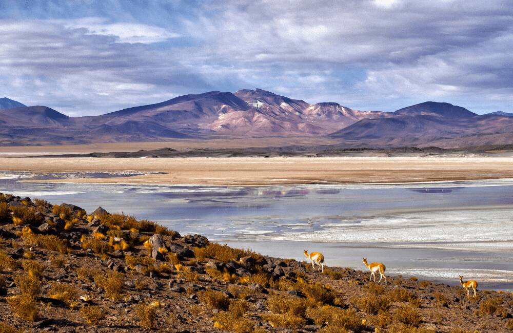 Valle de la Luna and the Atacama Desert Chile