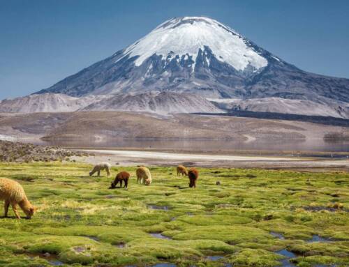 What to see in Chile