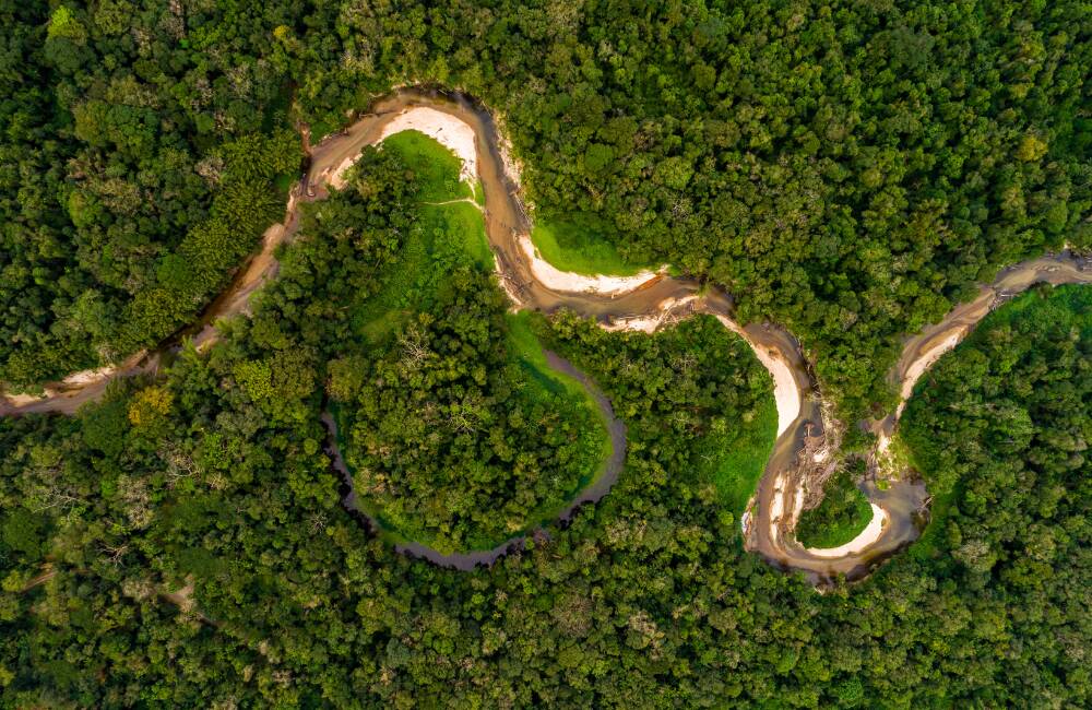 Amazon Rainforest in Brazil