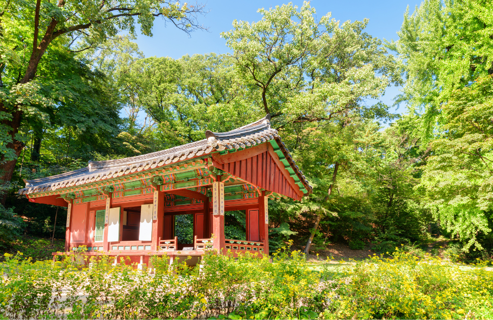 Changdeokgung Palace and Secret Garden in Seoul