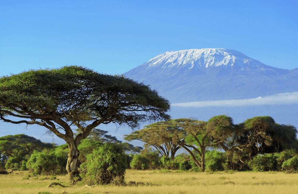 Mount Kilimanjaro