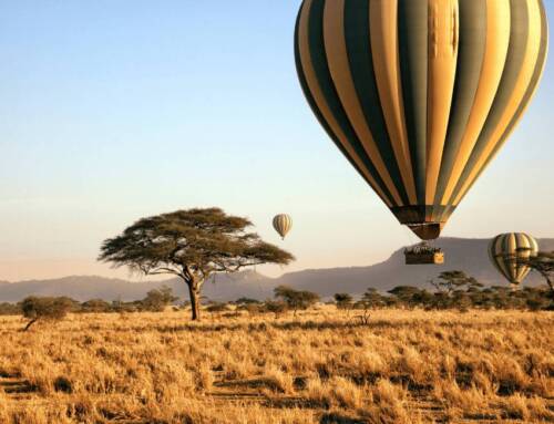 What to see in Tanzania