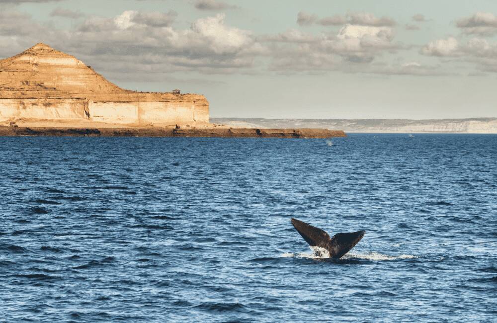 Puerto Madryn, Argentina