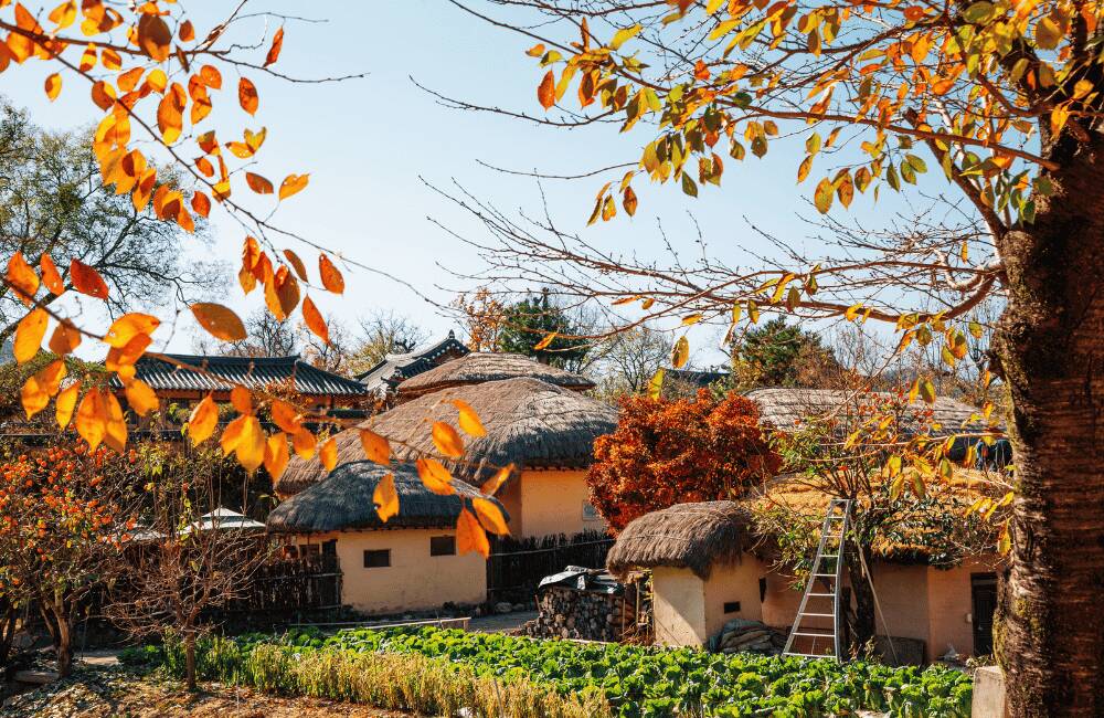 Traditional village in Hahoe
