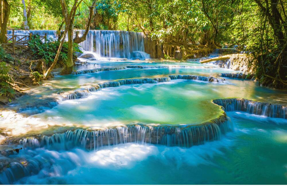 Laos Nature