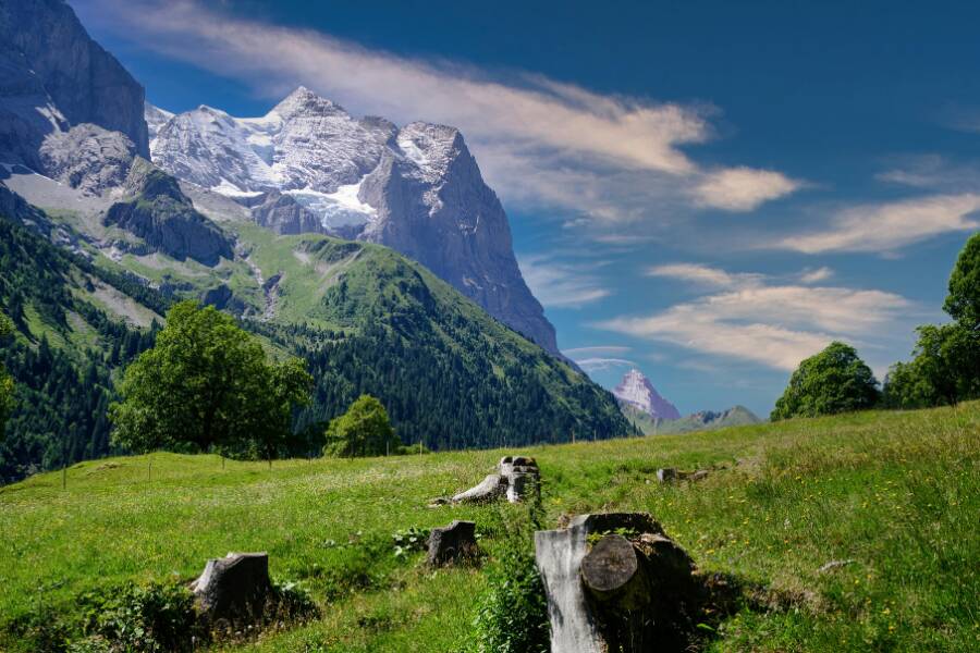 The Swiss Alps