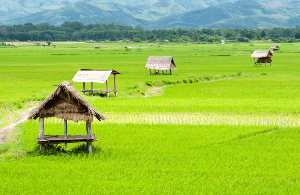 Visit Laos