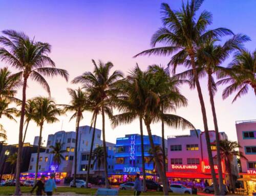 What to see in Miami