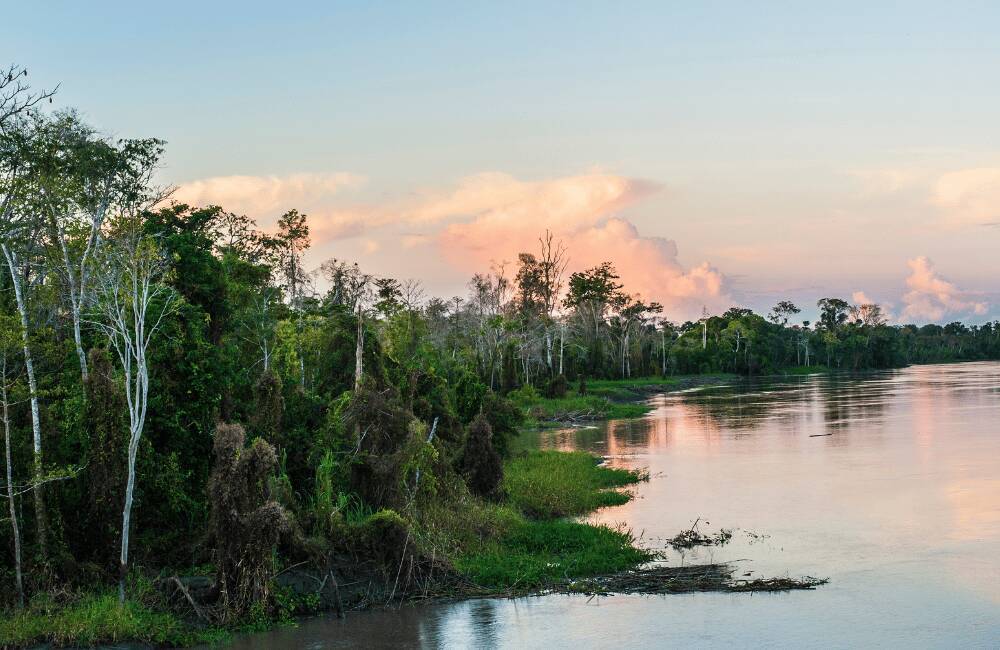 Peruvian Amazon