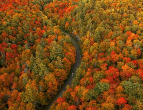 Canada in autumn: the ultimate guide to fall travel