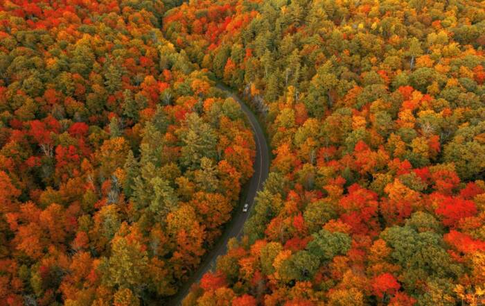 canada in de fall