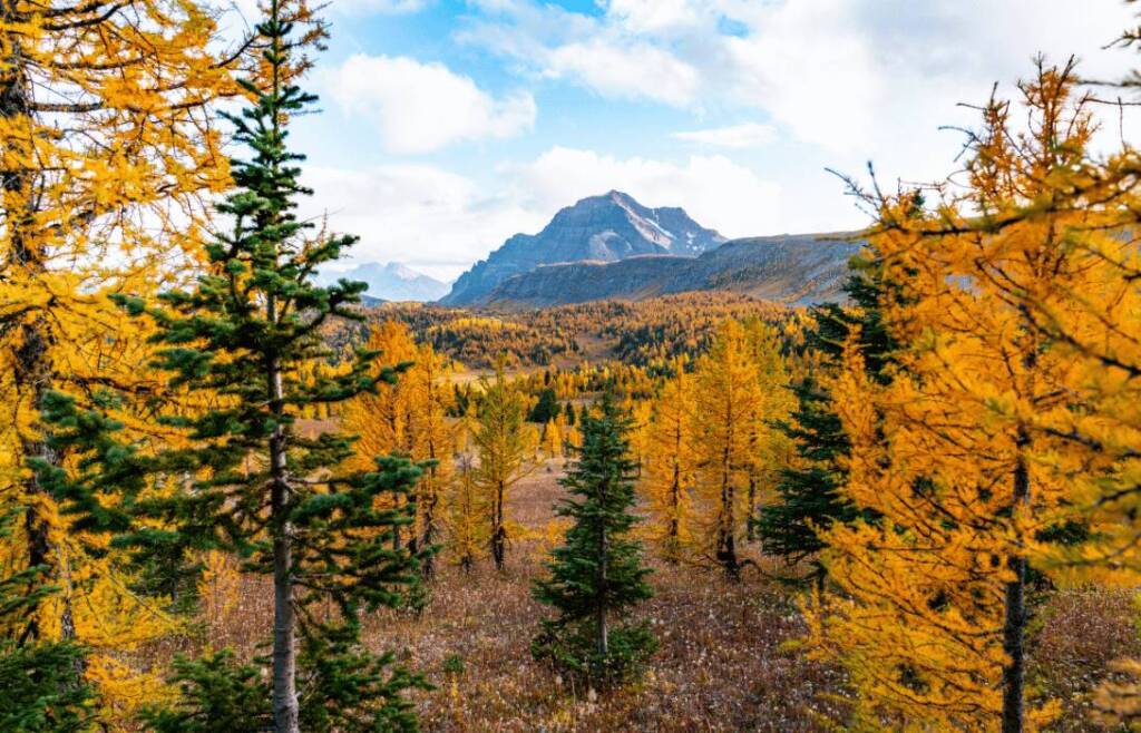 canadian Rockies