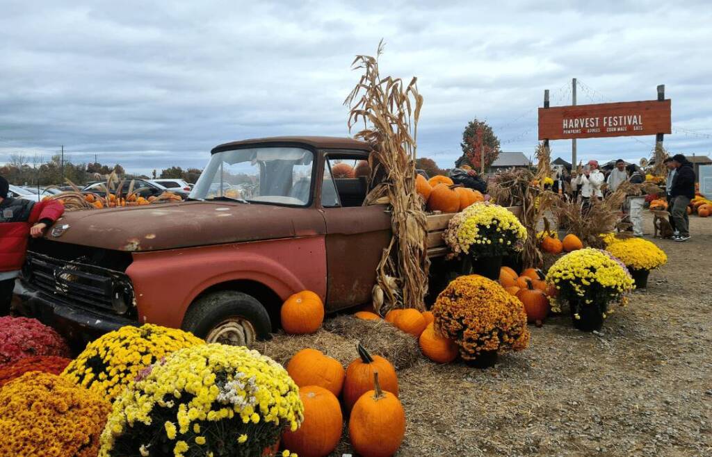 harvest Festivals in Canada