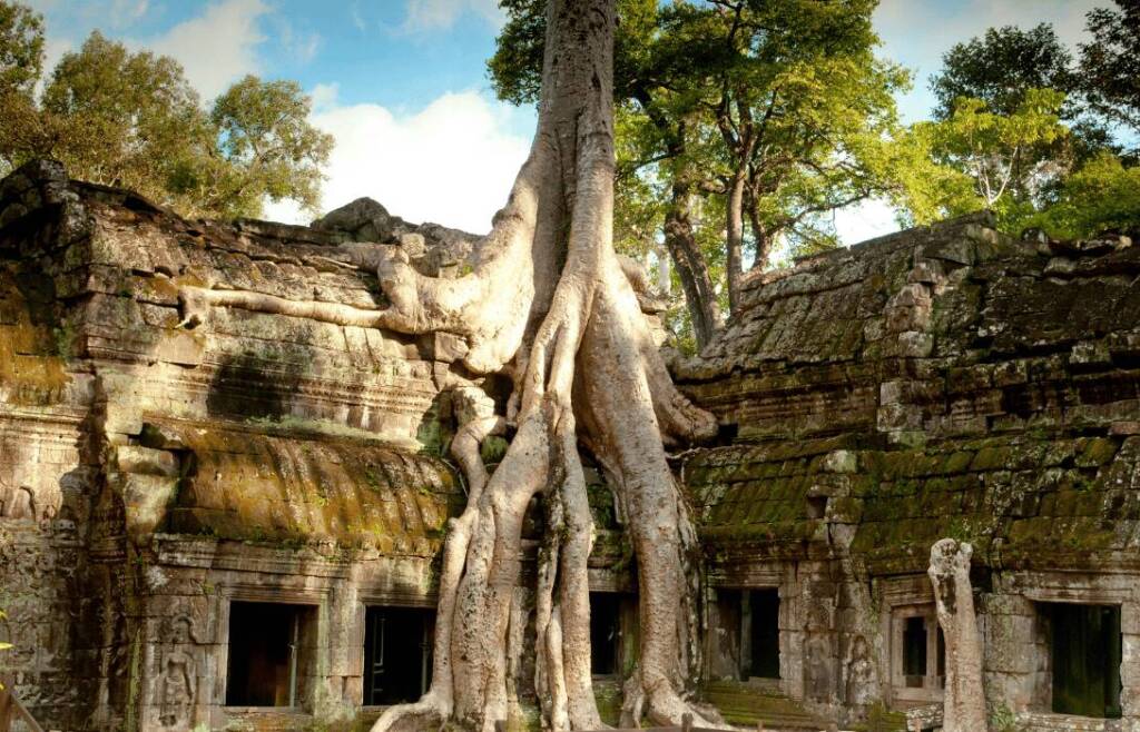 Ta Prohm