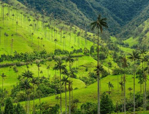 Is it safe to travel to Colombia? 