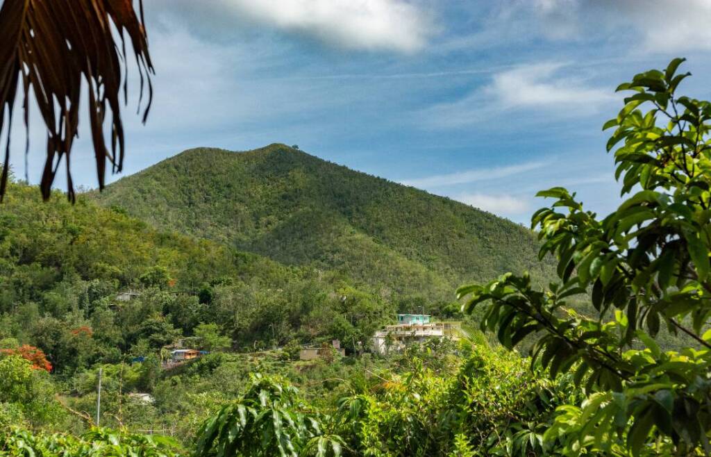 El Yunque, Puerto Rico