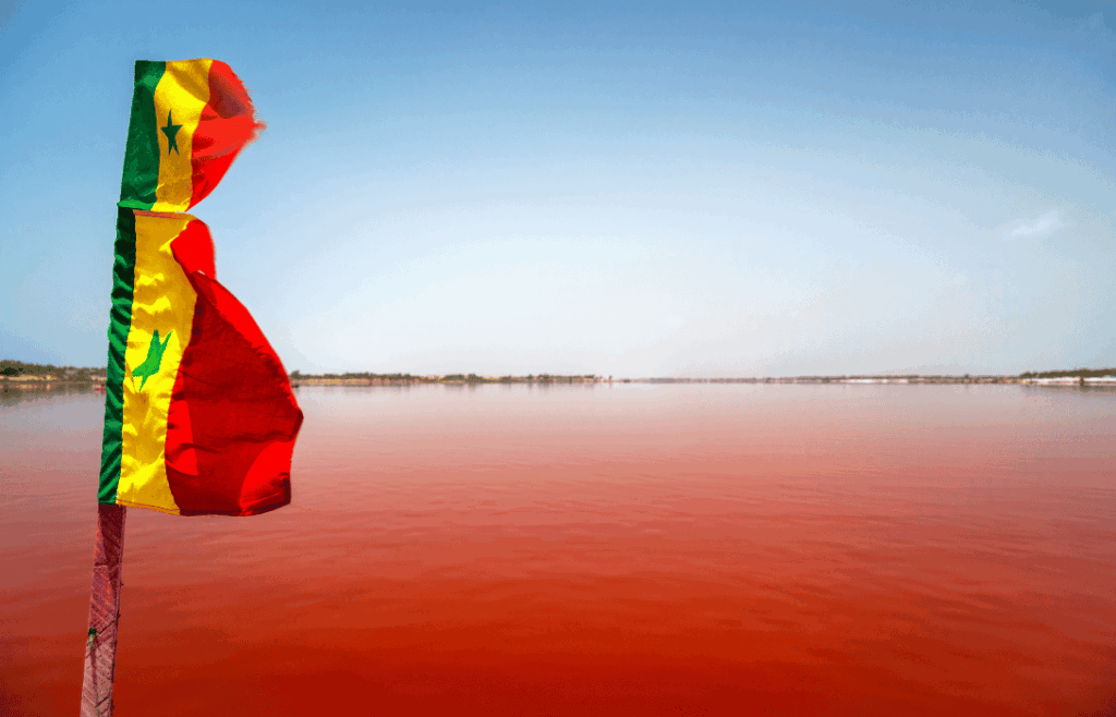 The surreal pink lake (Lake Retba)