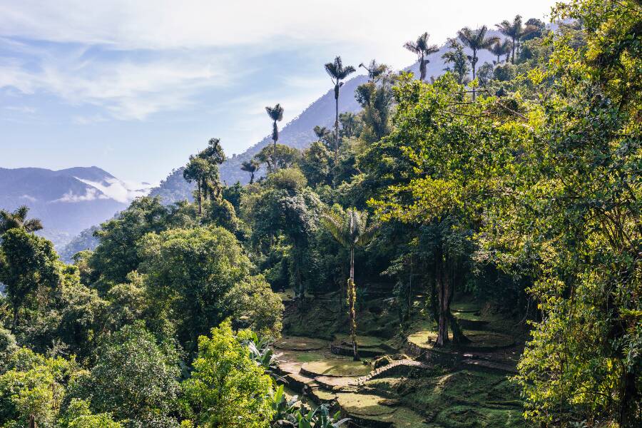 The Lost City (Ciudad Perdida), in Sierra Nevada de Santa Marta