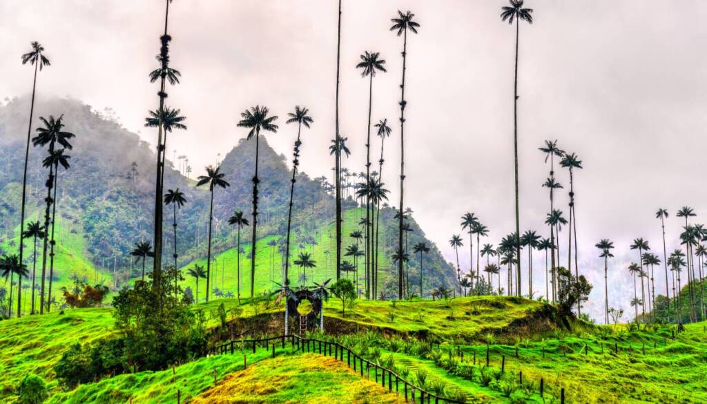 The ultimate travel guide to Colombia