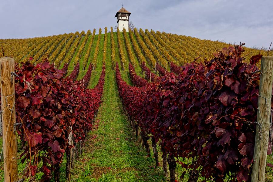 Tuscany, Italy