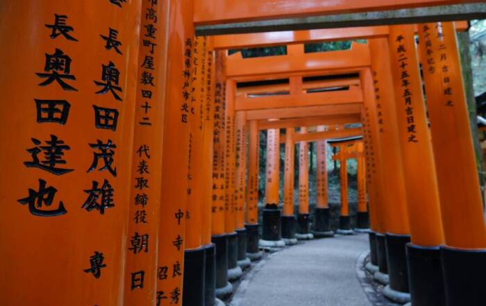 Travel to japan