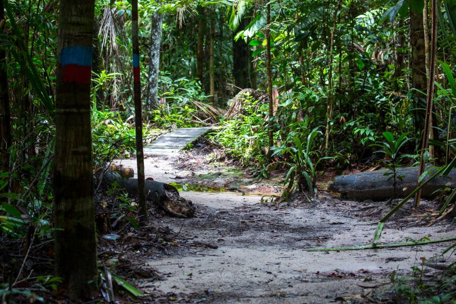 Bako National Park, Malaysia