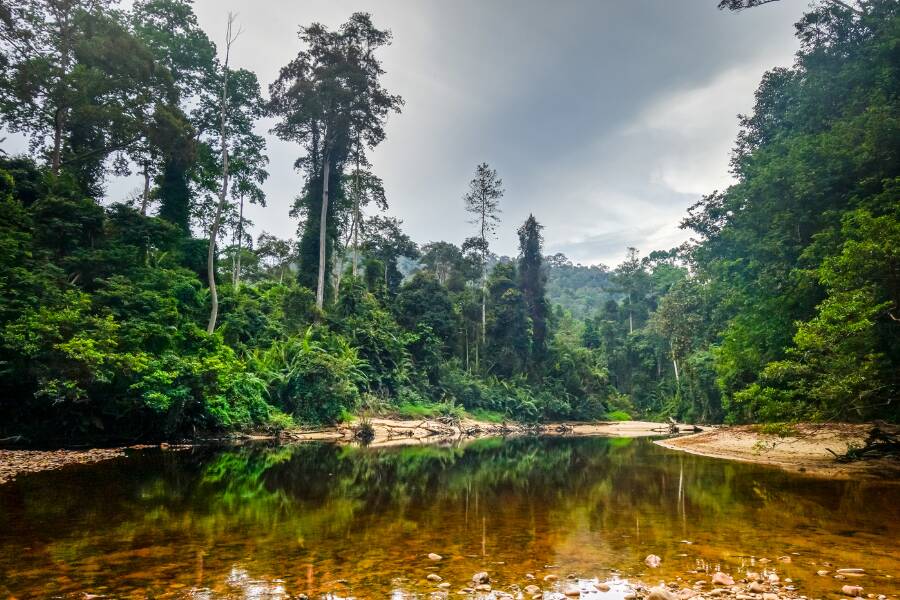 Taman Negara National Park