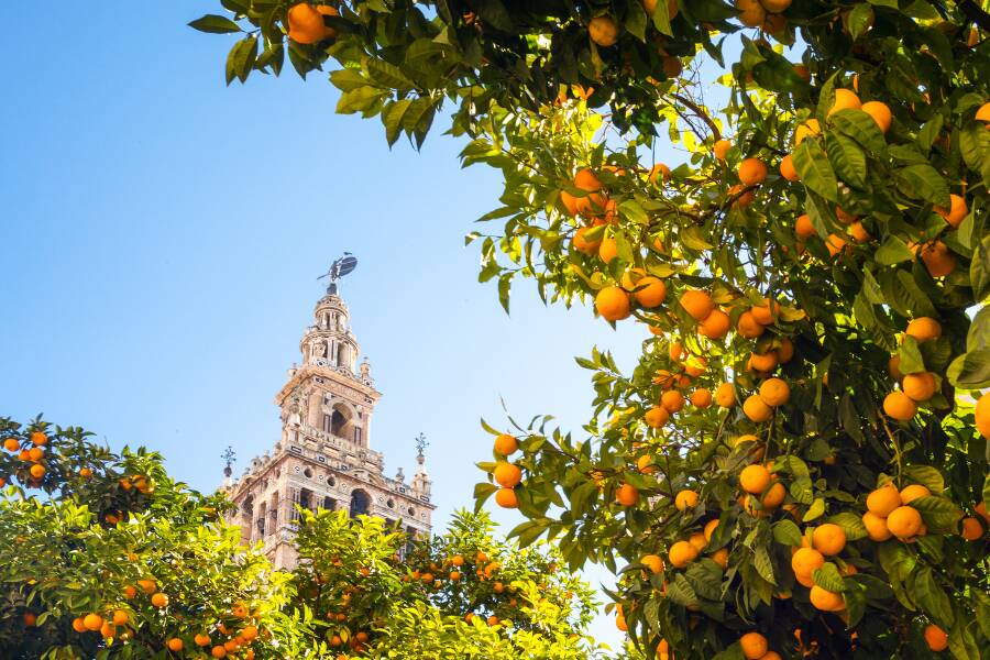 Andalusia, Spain